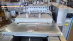 Termoformadora em inox ULMA TFS 200 ano 2019