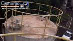 Tanque silo encamisado para armazenamento de glucose 20.000 litros