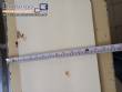 T�nel de resfriamento de chocolate Solich