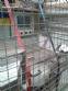 Embaladora horizontal em ao inox ULMA